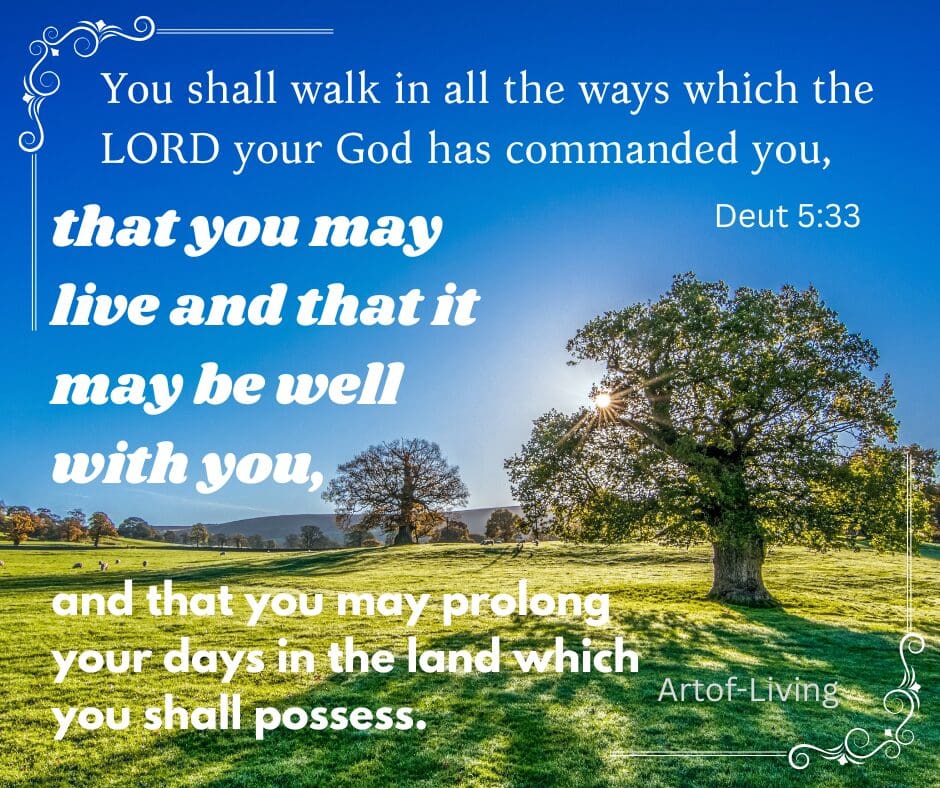 Sunlit meadow with tree and Deuteronomy 5:33